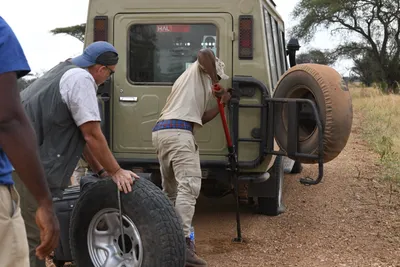 DSC_4074 (Large).JPG